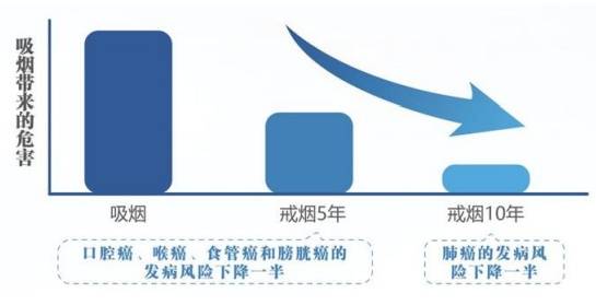 國家版“防癌說明書”來了！一半內容與吃有關......（建議收藏轉發）