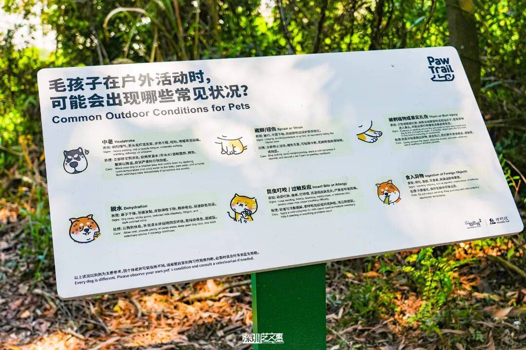 今日深圳｜聽說，羅芳郊野徑新開了個“狗狗圖書館”