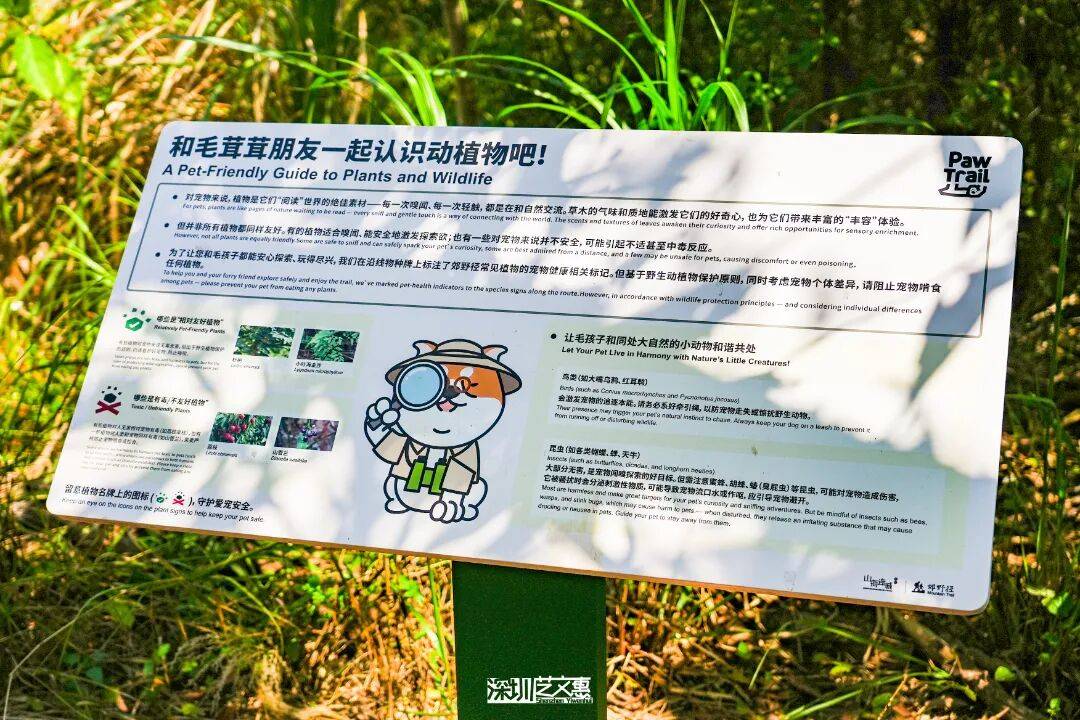 今日深圳｜聽說，羅芳郊野徑新開了個“狗狗圖書館”