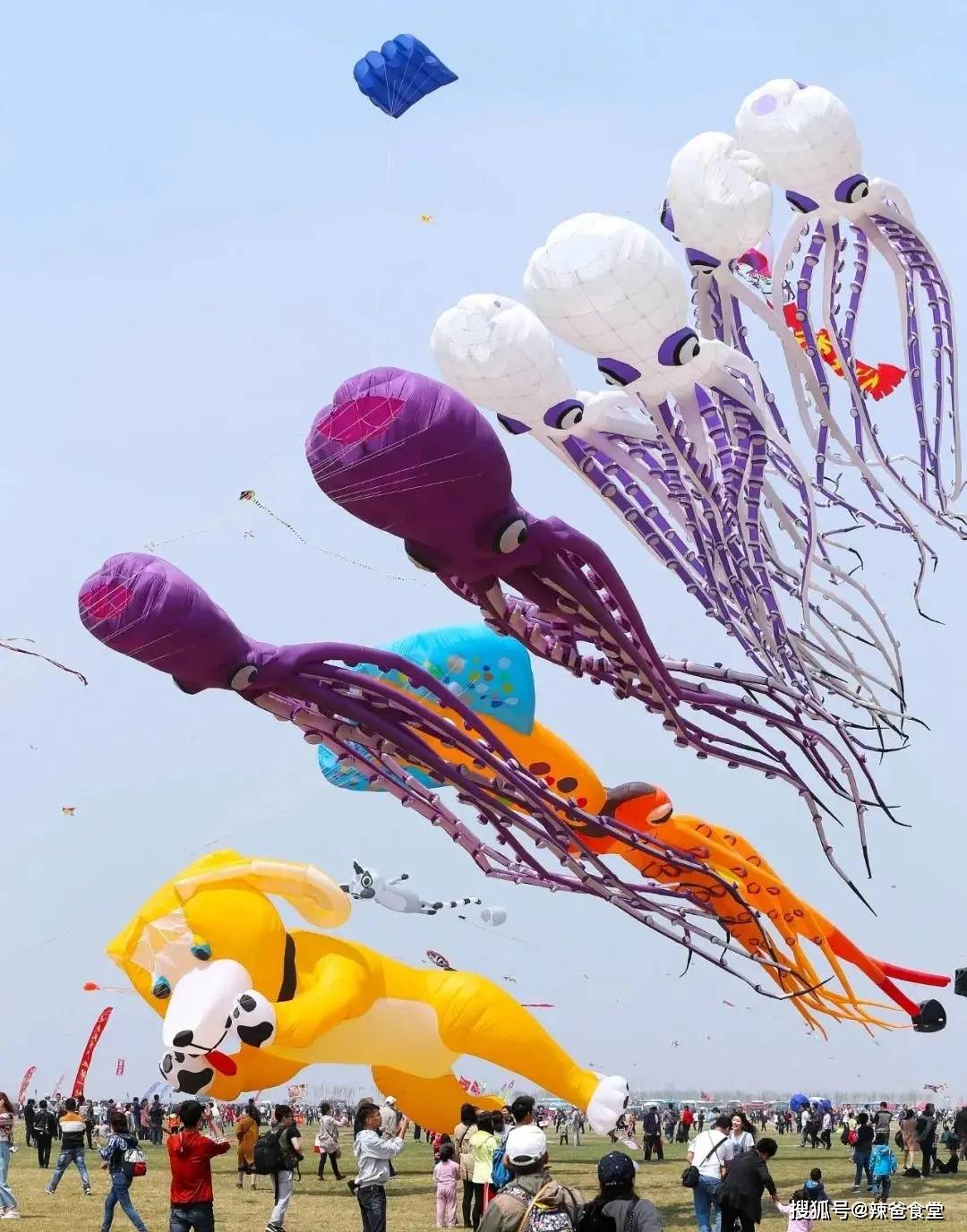 山東濰坊，世界風箏之都！啥都能飛上天？逛風箏節，品濰坊美食！