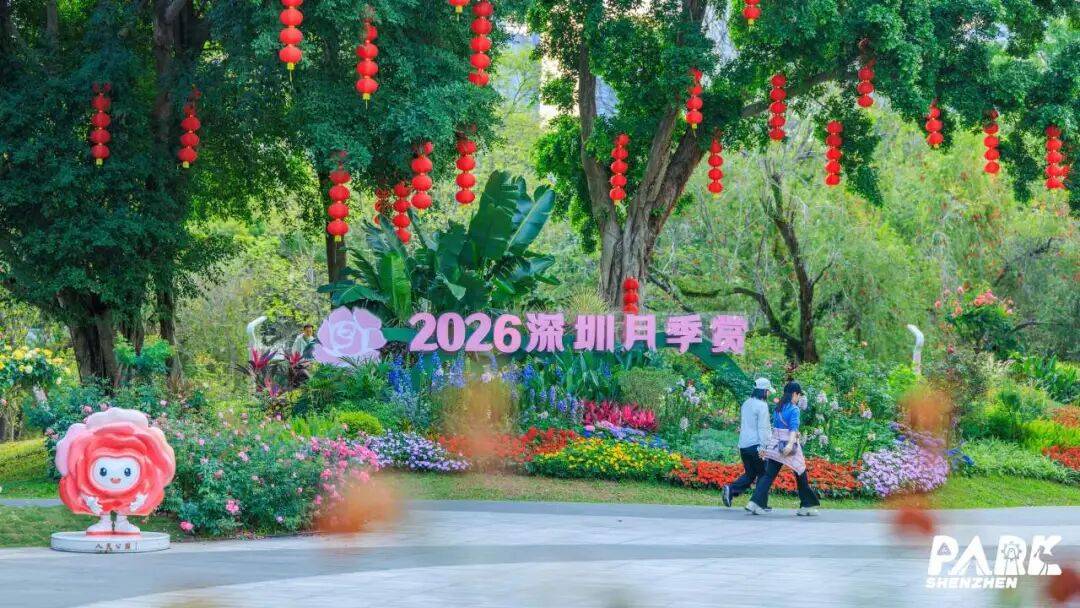 緊急收藏！五一深圳賞花寶地大揭秘，免費又好拍！