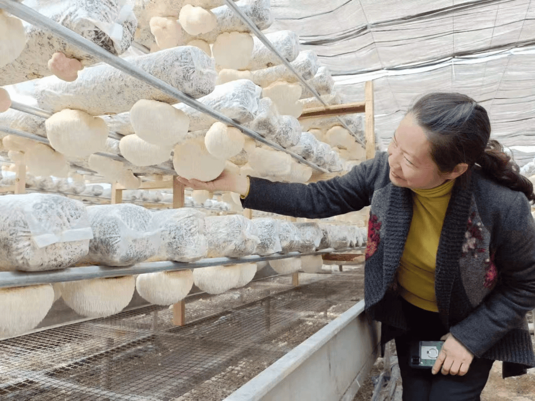 【築夢之城·廣聚英才】嶽文秀：把論文寫在烏當大地上