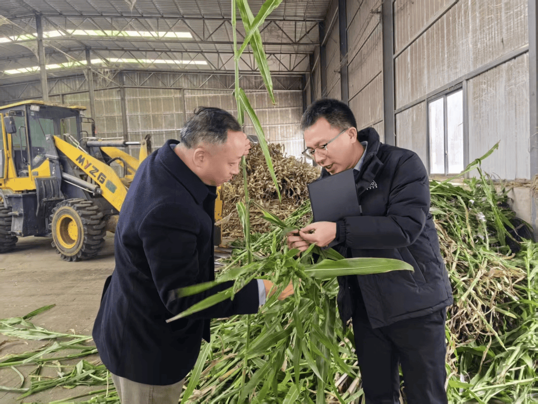 把論文種在春天裡：根扎泥土 枝向雲端