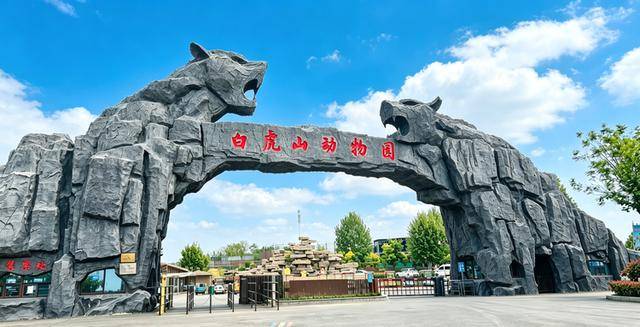 免票！半價！“5·19中國旅遊日”山東景區大放價！收藏→
