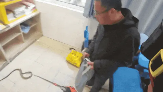 驚險自救！53歲阿姨被眼鏡蛇咬傷，徒手活捉2米毒蛇帶到醫院……