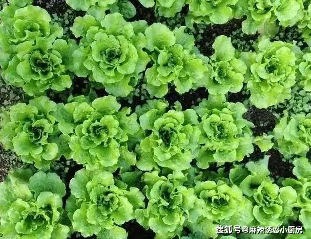 原創各種美食秘籍，千萬不要錯過喲！