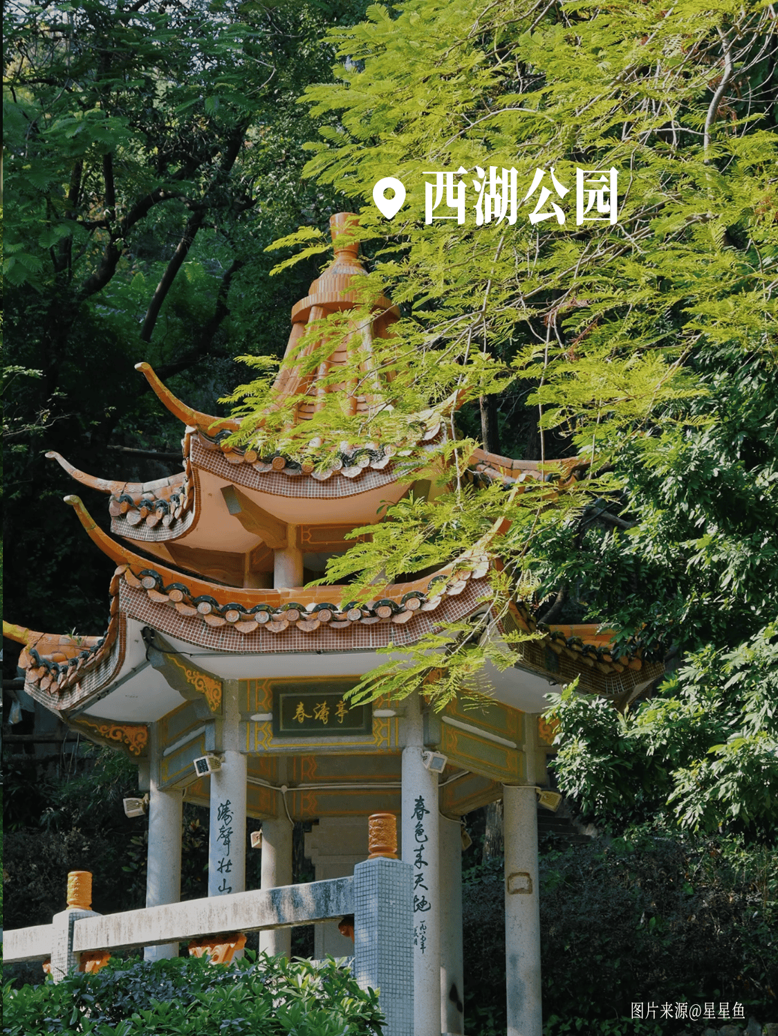 跟著影視去旅行 | 《給阿嬤的情書》何以讓4000萬人走入影院