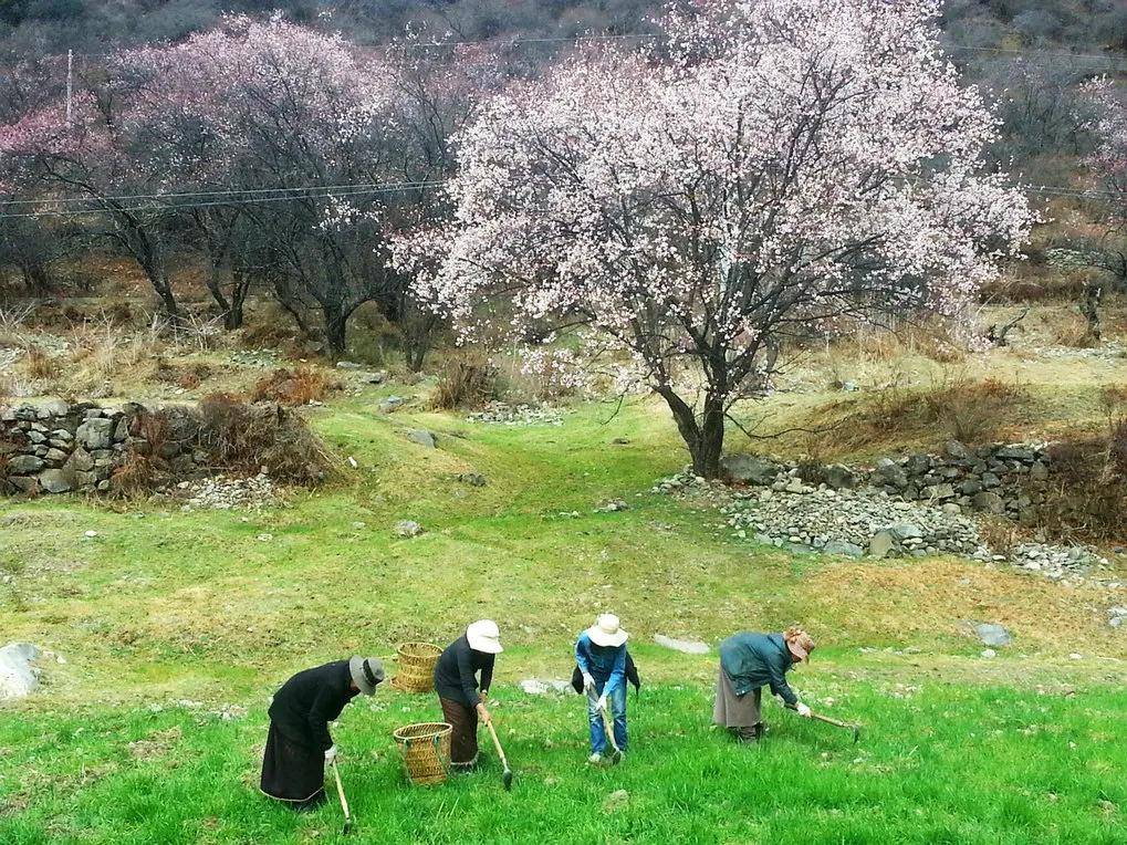 國際旅遊攝影網（#52旅遊攝影#52旅行攝影）西藏攝影團常規時長劃分