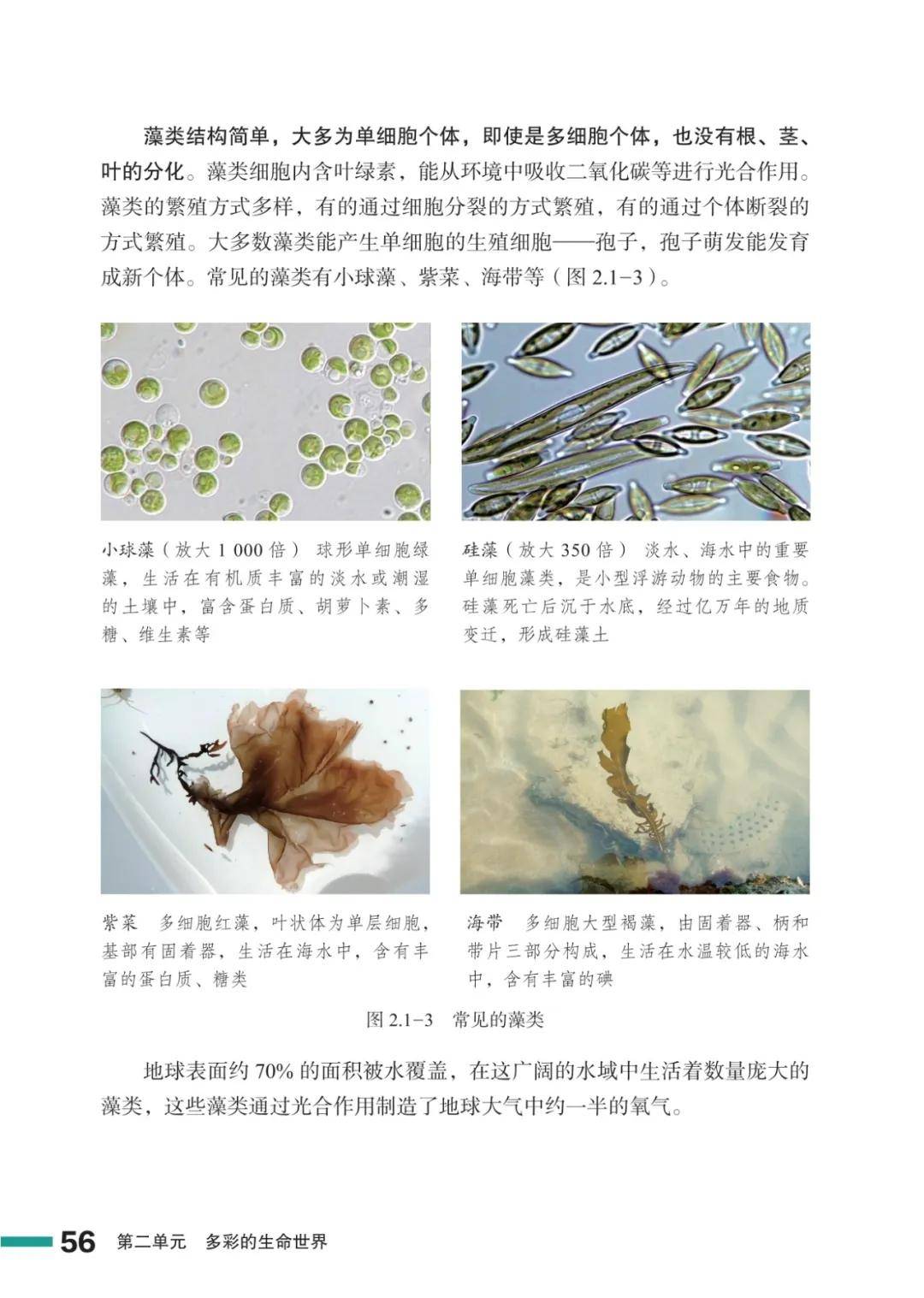 濟南版七年級生物上冊電子課本(2026新教材)