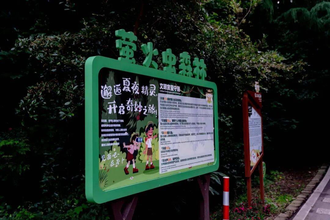 上海藏著“小亞馬孫”！皮划艇+高顏值美食+夏夜流螢，一次打卡仲夏限定浪漫→
