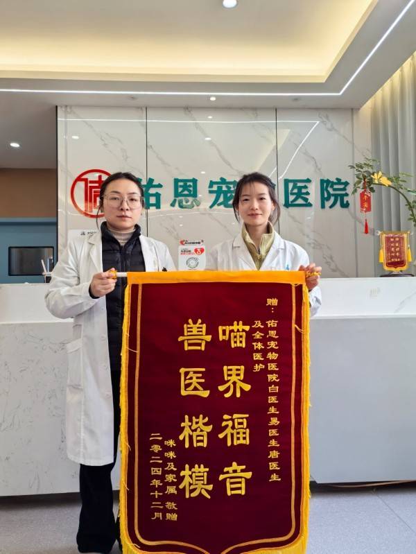 重慶北碚區寵物美容怎麼選