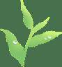 秩序四千年：人類如何運用法律締造文明