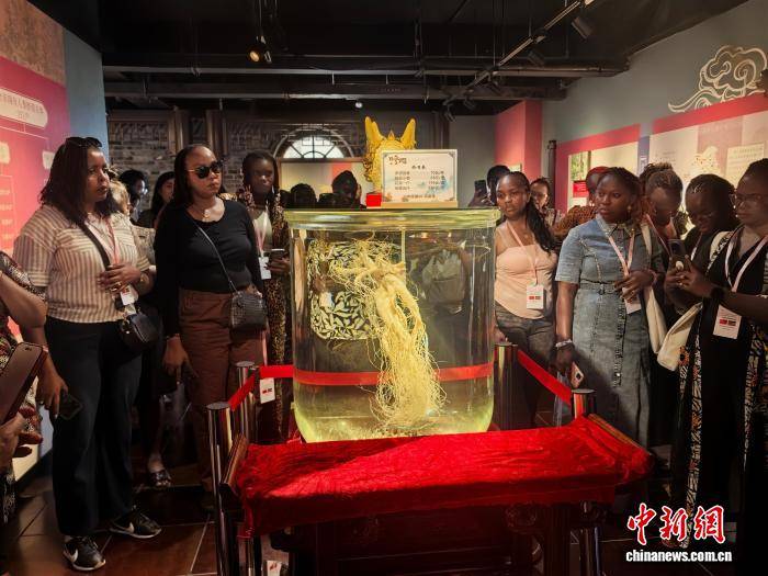 非洲多國婦女工作骨幹訪吉林 互鑑女性賦能產業發展經驗