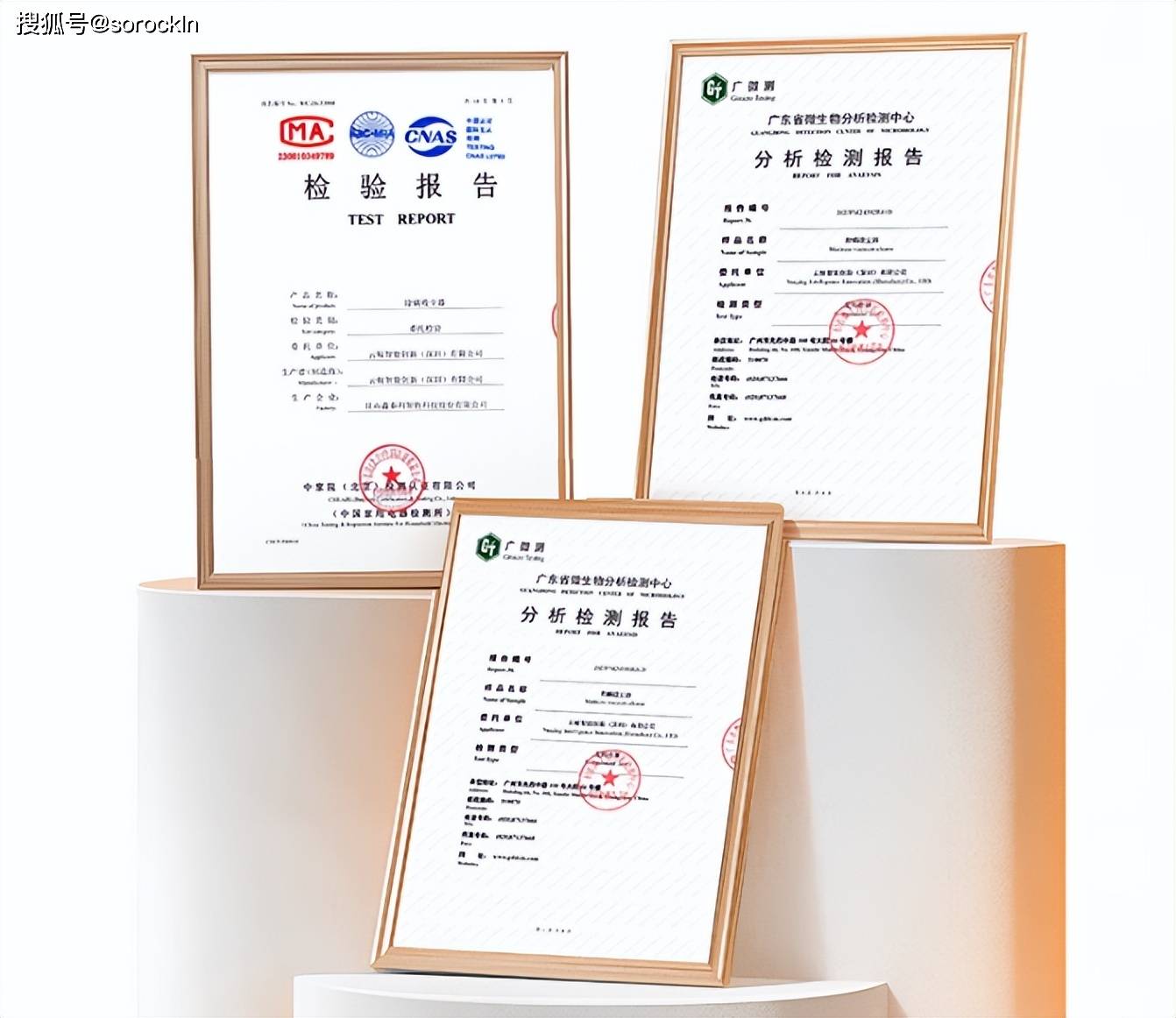 租房黨適合什麼除蟎儀？盤點除蟎儀十大名牌！