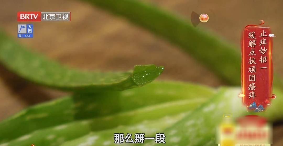 它被稱為“天然青黴素”，夏天常用，抑菌消炎、美容抗衰老、通便，但吃不對有危險