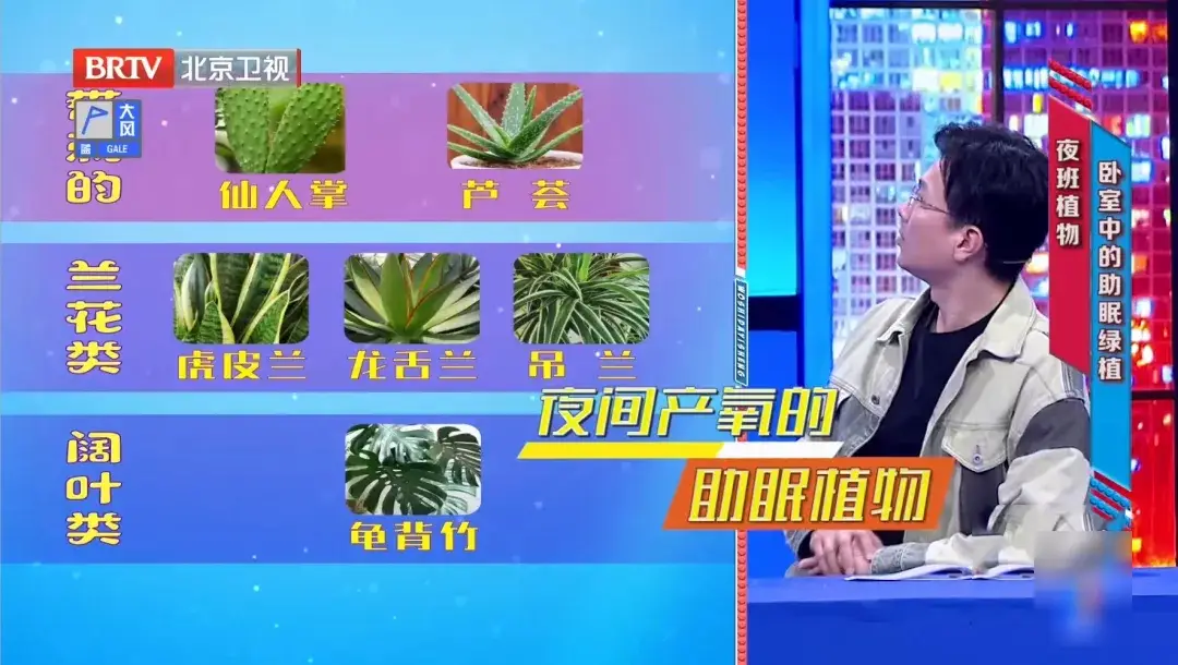 它被稱為“天然青黴素”，夏天常用，抑菌消炎、美容抗衰老、通便，但吃不對有危險